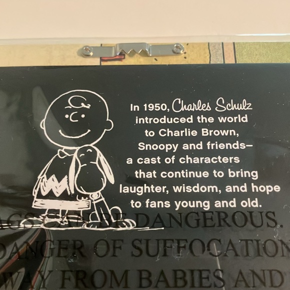 Peanuts Vintage Strip Photo Frame Holds 4x6 Photo by Hallmark - Picture 4 of 6